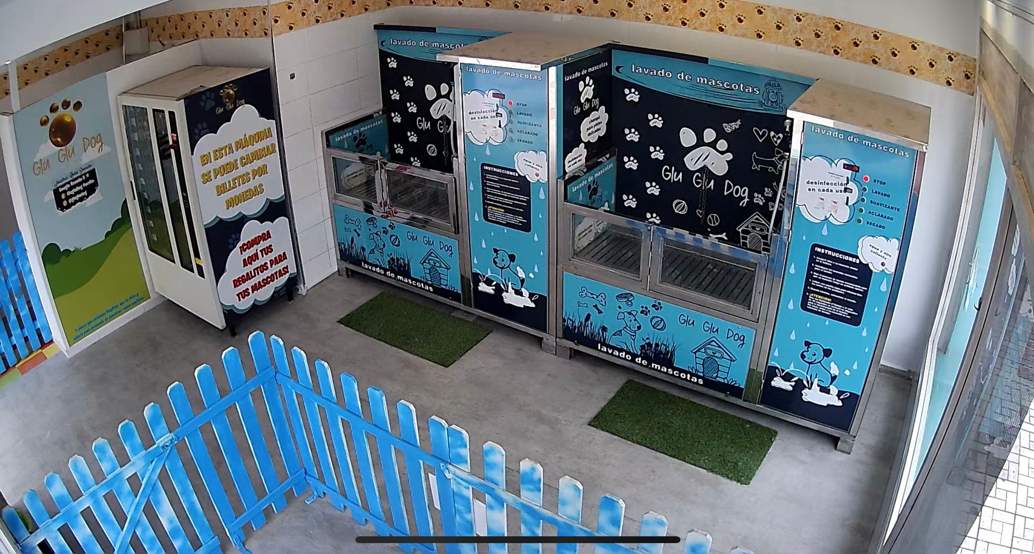 Interior GluGluDog